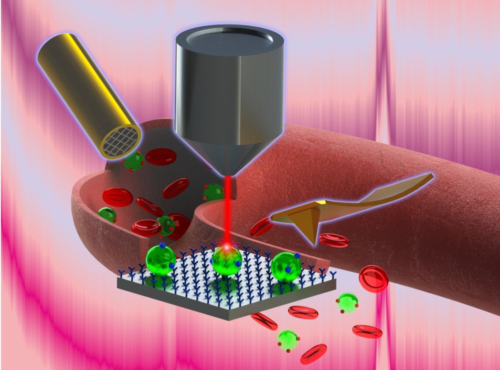 Chem2W's tweet image. Een groot Nederlands consortium is bezig om nieuw licht te schijnen op kankerdiagnostiek. ‘Het is een heel mooie gelegenheid en de resultaten zijn al even mooi’ c2w.nl/artikelen/chem… @UTwente #TechMed #Cancer-ID 
Afbeelding ©Séverine Le Gac/The Royal Society of Chemistry