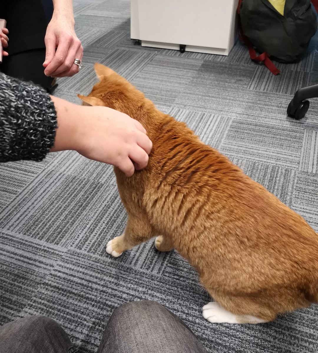 ISSORHUL's tweet photo. @RHULGeography @HelenNicholson2 @RHULDrama He appeared in Careers the other day 👀 https://t.co/o40jfj0XkL