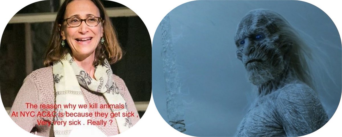 GiveLuckyBack's tweet image. #NoKill Advocates.  We must be vigilant re the pick to head the new #AnimalWelfare office.  This person will very likely be a #ProKill extremist from the ranks of either the #ASPCA #NYCACC or #VFAR.  The person will become the Pound's top defender. We must oppose at all costs