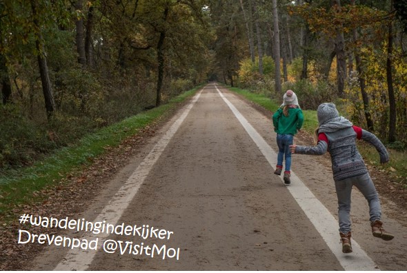 VisitMol's tweet photo. #wandelingindekijker #drevenpad
Deze wandeling drijft je langs lange dreven die aan weerskanten allerlei geheime plekjes laten vermoeden.
https://t.co/gmTTNAluCD https://t.co/nFLUXFvRx4