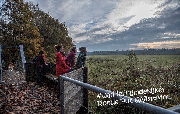 VisitMol's tweet photo. #wandelingindekijker #rondeput
Op de grens van Postel en Retie bevindt zich het beschermde gebied van de Ronde Put. De plas, de omliggende moerassen en de rietvelden liggen midden in een oud cultuurlandschap met bossen en weilanden. https://t.co/N8s3u8i0LN https://t.co/zphdjCmQWk