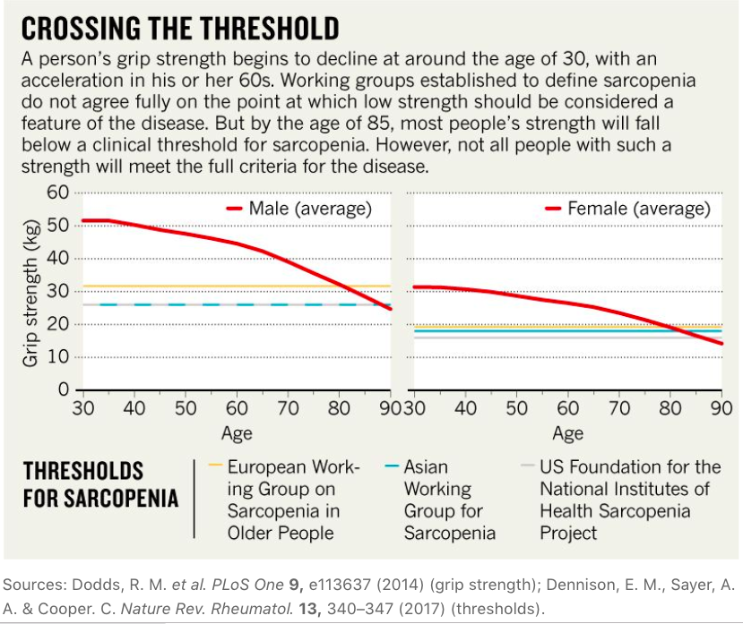 nxtstop1's tweet photo. More— #Longevity: What makes a #centenarian?
#Senescence, #OldestOld #OlderAdults (goal: 🔼#HealthyYears )
A #curatedthread.
Thwart "typical #aging " by facing #sarcopenia. It's treatable!
From @nature
https://t.co/JEHGXRXJxj
#Muscle #SitToStand #TUG #GripStrength #Ageing https://t.co/DUkZc73DYL