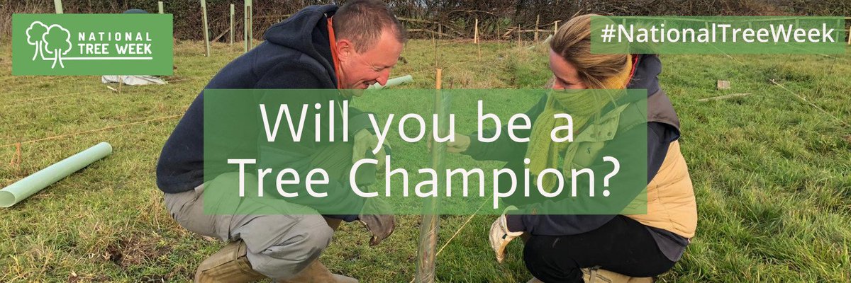 #NationalTreeWeek 23rd November - 1st December. For details: treecouncil.org.uk/Take-Part/Nati…. <a href="/NorthwoodGDST/">Northwood College for Girls</a> #ecoschools Champions encourage friends and family to take part!