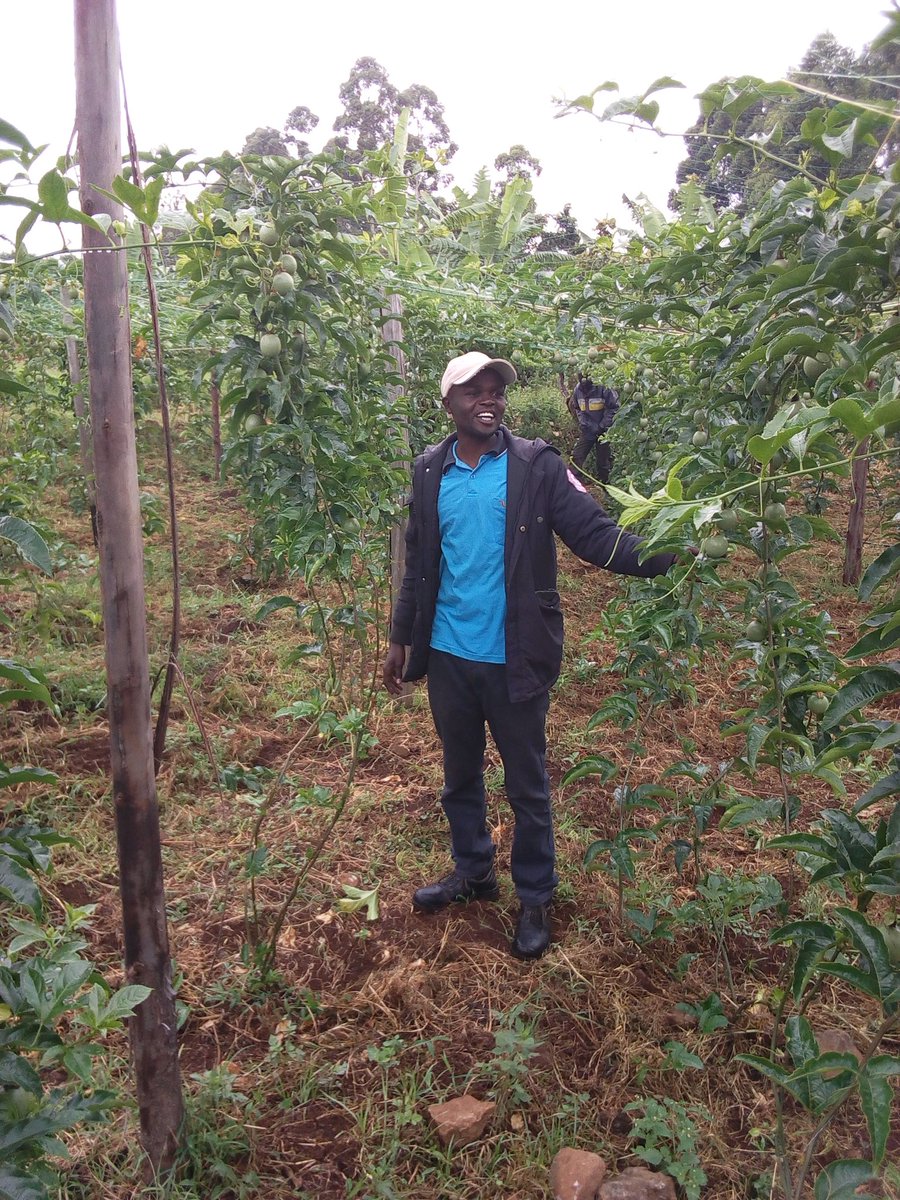 Visited one of the youth Mr Tony cherop who has embraced passion fruit growing in his village in Kapchorwa district.He supplements his income through his profession,electrical engineer.