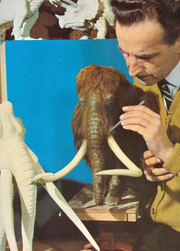 Part of the reason they were so popular is that the quality of the molds but the insane details of the models. Designed by Arthur George Hayward who worked in the  @NHM_London from 1947 in the model making/exhibition section until his retirement in 1983. He died in 1999.