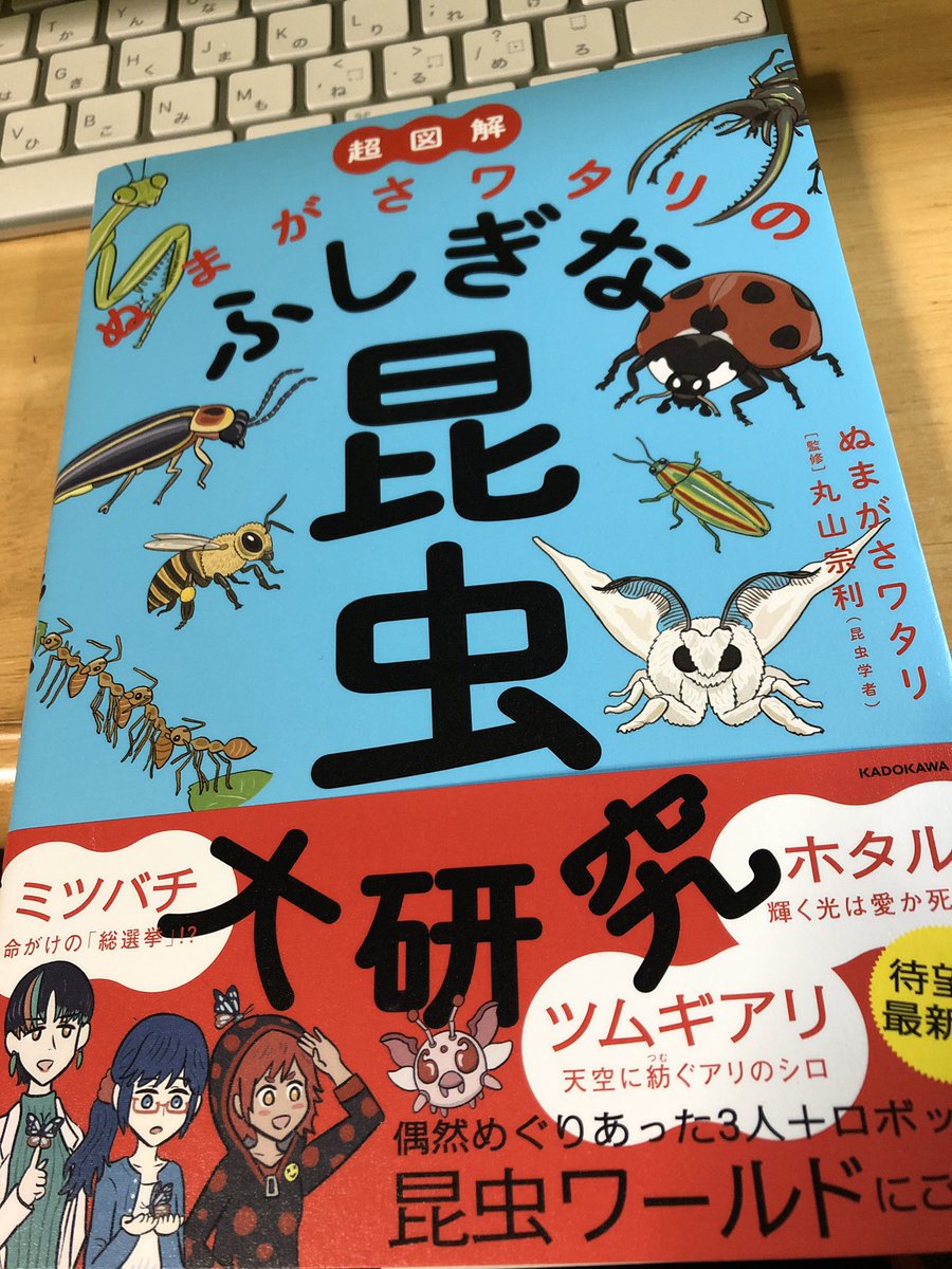 ふしぎな昆虫大研究パーティ、ほぼ完成したと言っても過言ではないな…(あとはタマムシポケモンさえいれば…) 