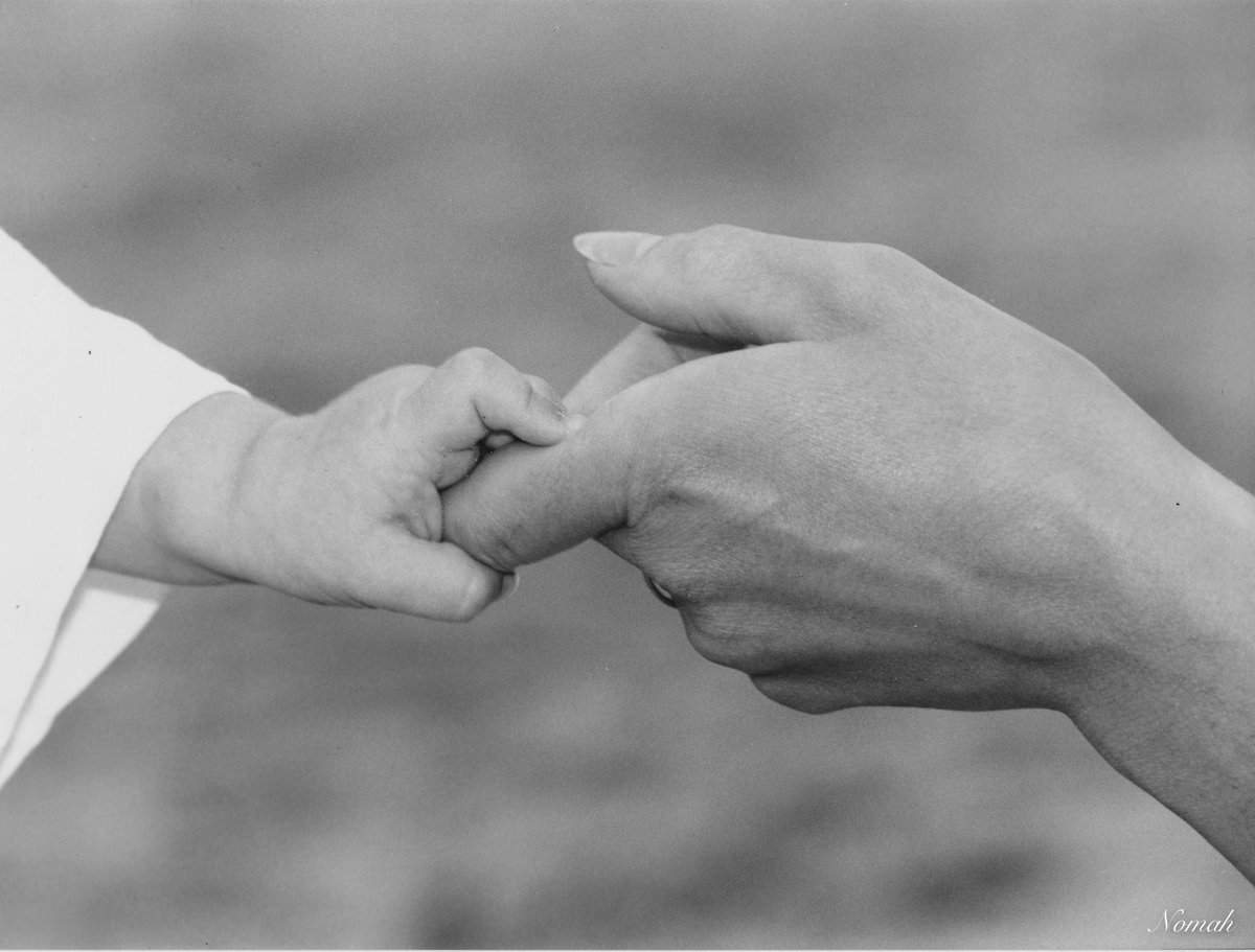 NomahPhoto's tweet photo. “Liées à jamais“ Exposition à #Gruissan, été 2019 https://t.co/6B129PEUU4