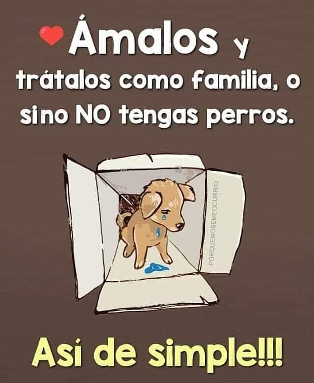 EPA_Chile's tweet image. Más claro imposible.... #Animales #Compañerosdevida #ConvivenciaResponsable #EPAnews #EPAChile
