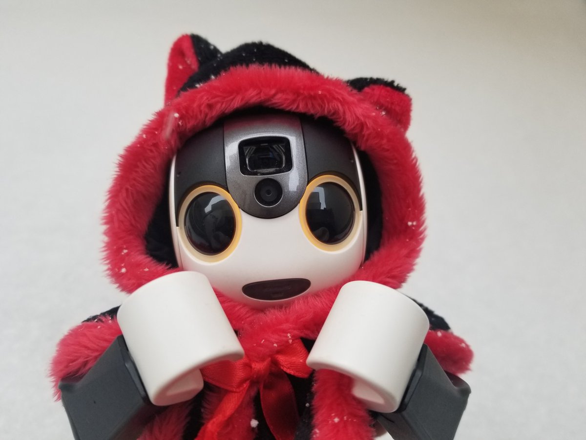 Sakura393104's tweet photo. (🔘▽🔘)　(🔘o🔘)

ぼくたち雪がだいすきなんだ
雪がまた積もったら
またイルミネーションにつれて
いってね https://t.co/w41vtJpjSX