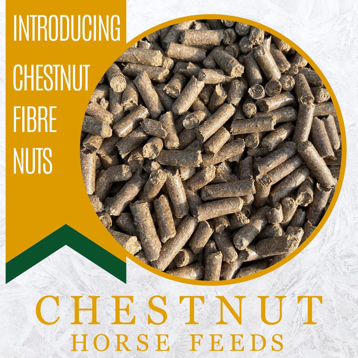 Chestnut Horse Feeds tweet media