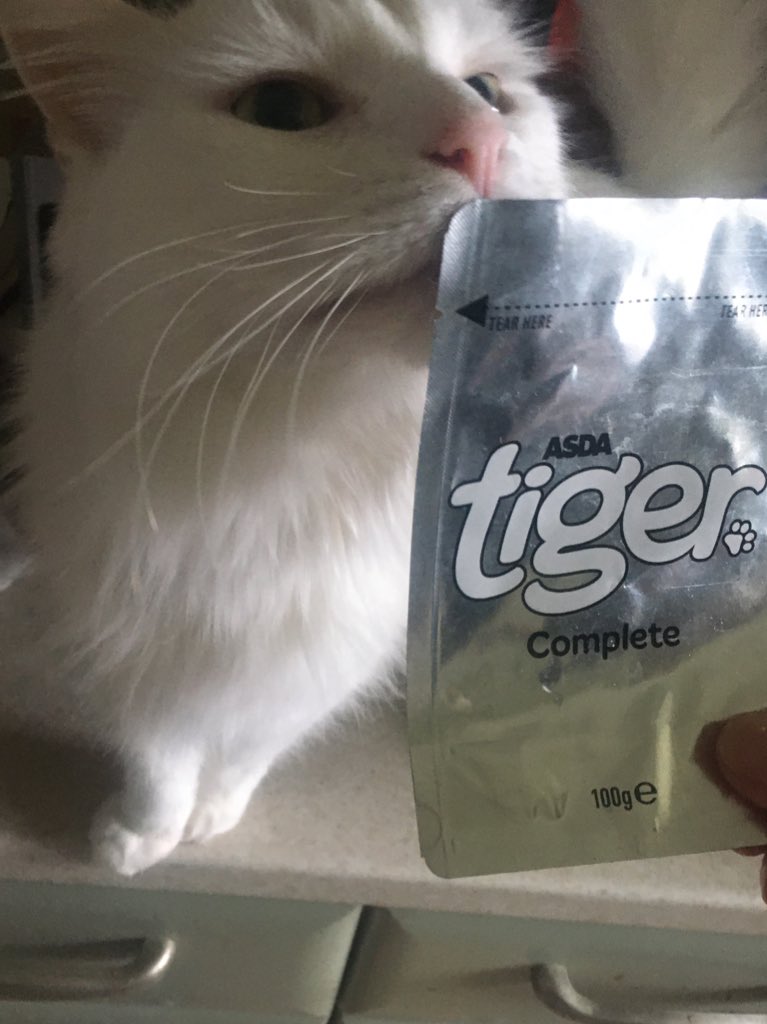 MattyBlackman's tweet photo. Because of this empty sachet, poor marvin is missing a meal! @asda i hope you feel terrible.. #prayformarvin https://t.co/Zm7E72Ex1c