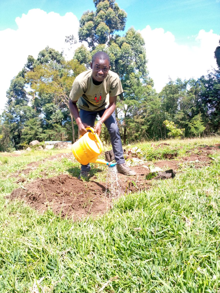 And today I decided to plant a tree so that I can help to increase the 10% forest cover in the country. 😊
@IrriHub @kenyapics @citizentvkenya @mkulimayoung
#conservenature
#protectourforest
#youthinagriculture