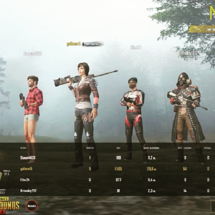 Ник для пабг мобайл 2024. Крутые имена для пубг мобайл. Как сменить ник в пубг. Звания в пабг. Ник для пабг мобайл 2024.