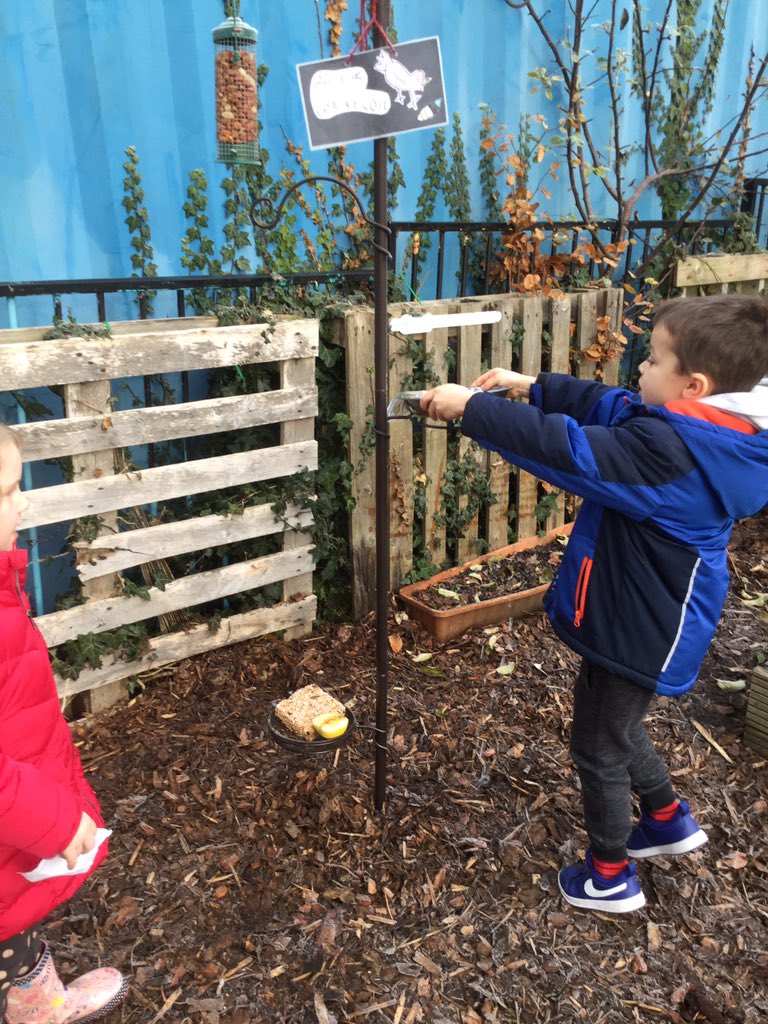Caring for the birds that visit our garden. We had to give fresh water as it had froze at the start of the week! Beginning to identify the different birds and watching them with binoculars.#discovery #birdwatching #rspbwildchallenge