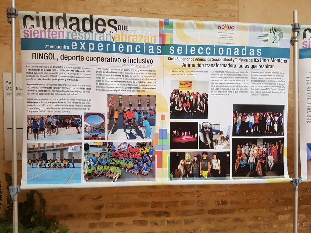 MuACSevilla's tweet photo. @ringoldeporte experiencia seleccionada en Sevilla, ciudad que respira. Os esperamos en @MuACSevilla 2020 https://t.co/kPenwYhWdS