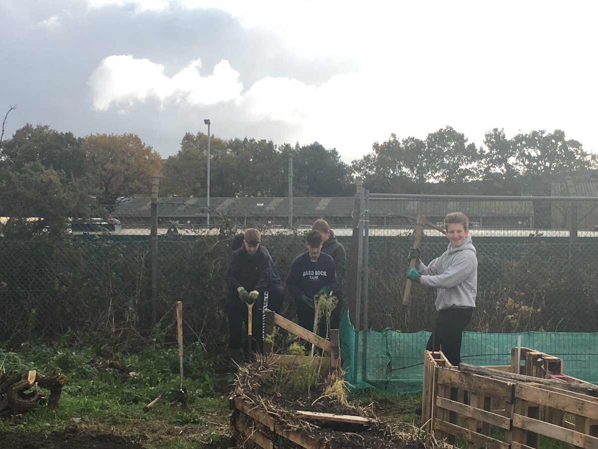 SCHS_SixthForm's tweet photo. @SCHS_SixthForm Sixth From Students working hard on the Allotment Project. https://t.co/3zIs3sofBI