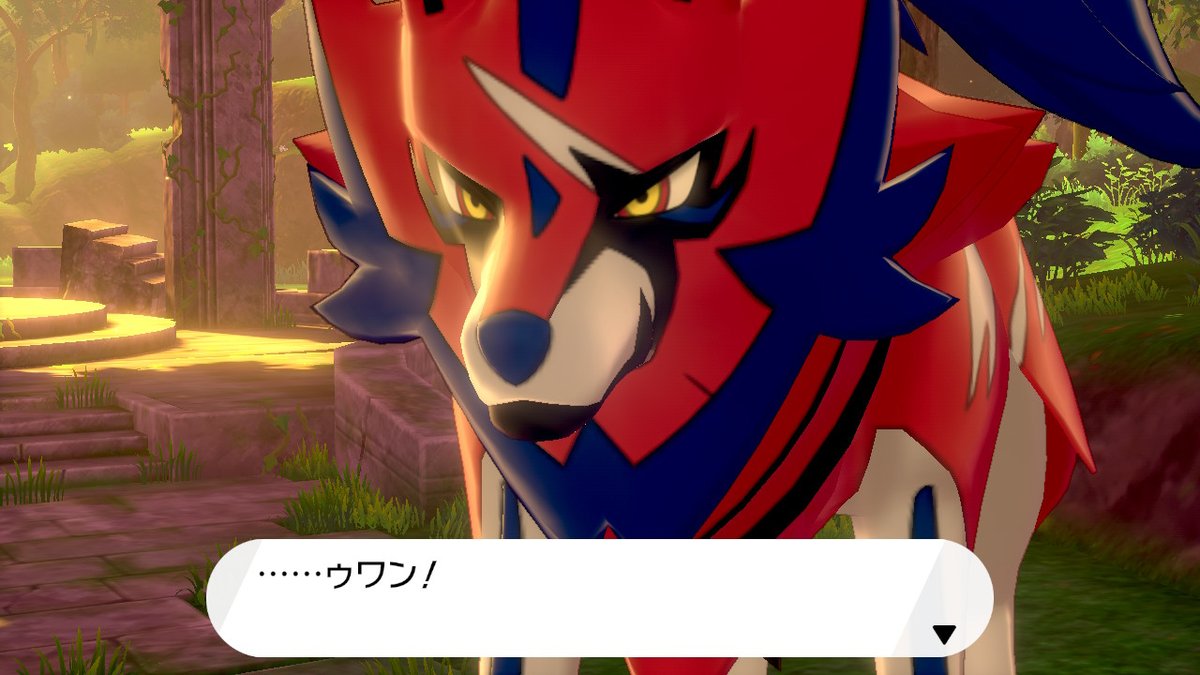 ﾗﾝﾀｿｵｵｶﾐ わんわんかわいい ポケモン剣盾 Nintendoswitch