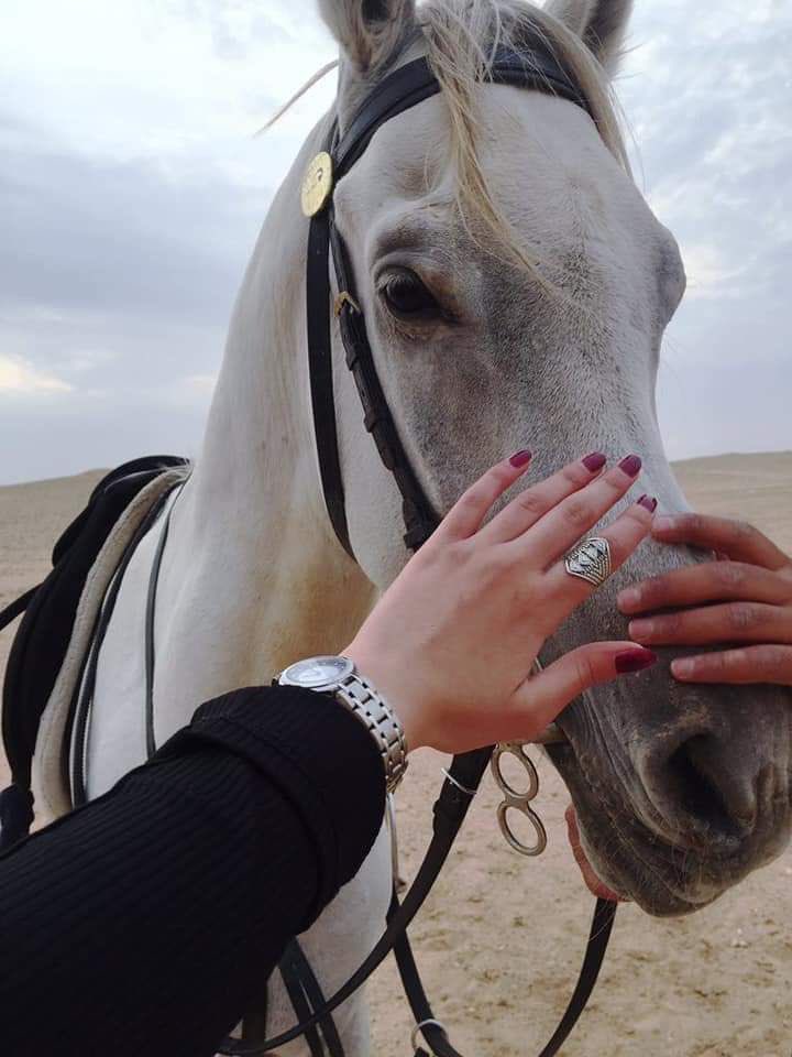 مايغثك غير لاصار في وجهك حيا
    وابتلاك الله في عالمٍ ما يستحون @lolo_jo1994