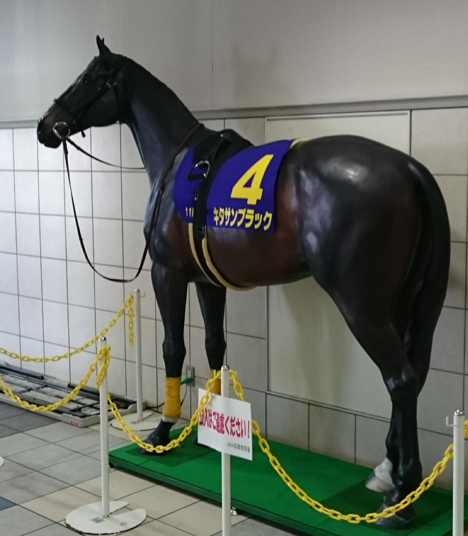 レア　JRA★新潟競馬場限定　菊花賞　キタサンブラック　馬番ゼッケン　レプリカ レア JRA☆新潟競馬場限定 菊花賞 キタサンブラック 馬番
