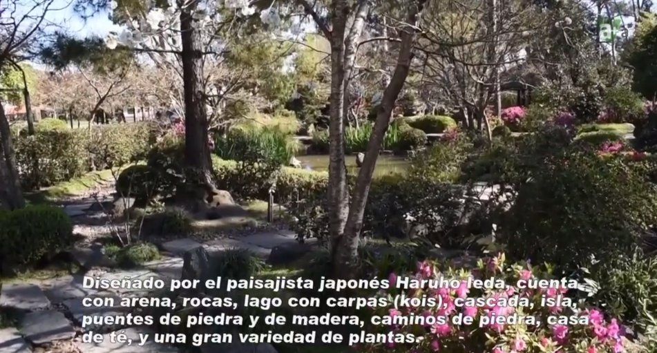 amasvcanal's tweet photo. Mira Esto !! visita, "El Jardín Japonés", llamado Jardín Heisei.

Inaugurado el 24 de setiembre del año 2001, conmemora el 80º aniversario de las relaciones diplomáticas Japonesas-uruguayas. #canalamasv #jardinjapones #miraesto #princesasayako #uruguaynatural #JardínHeisei. https://t.co/r2gSYCcGoe