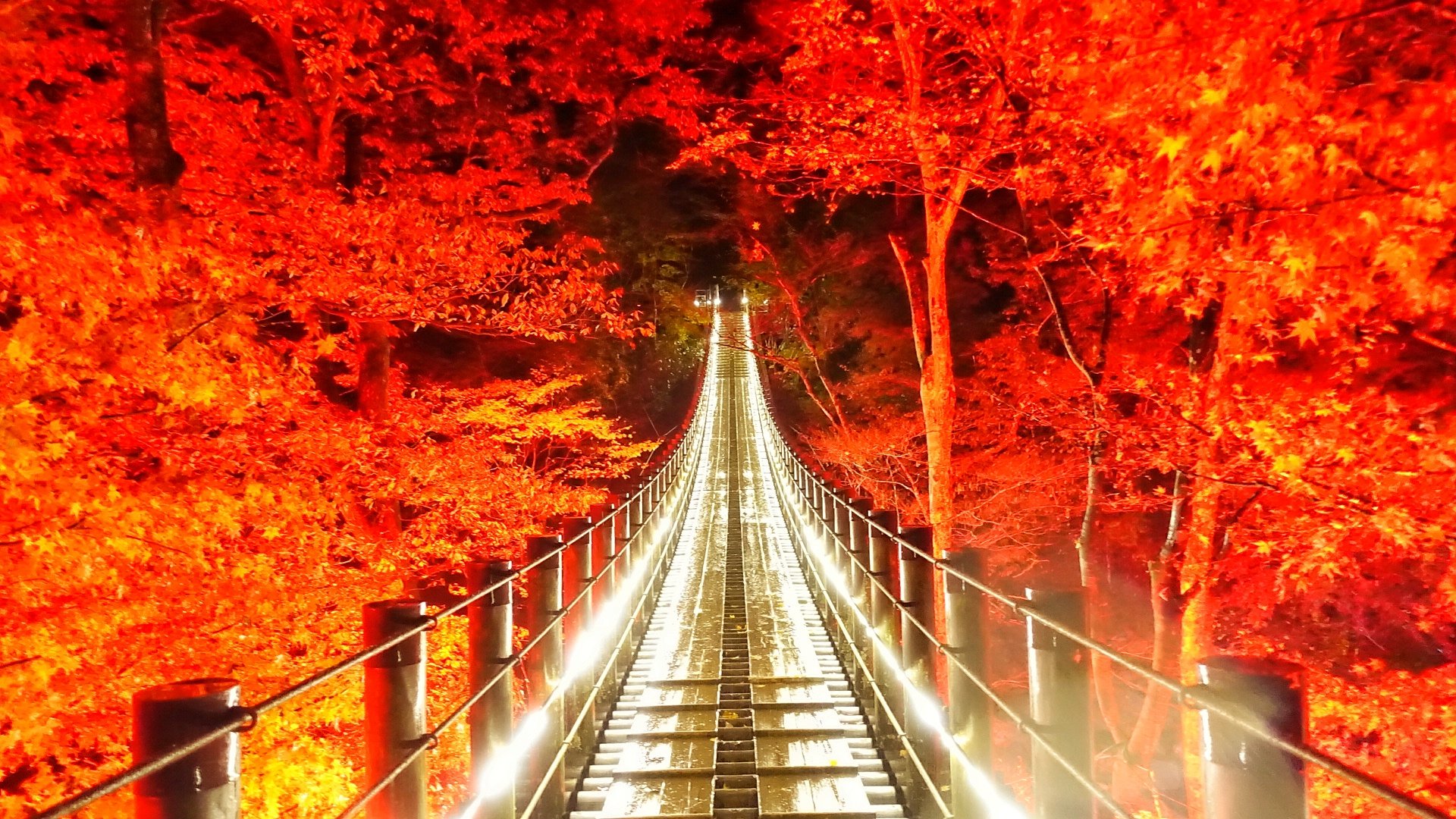 Twitter 上的 Tyoto Sayahiyama 1027 こんばんは さやっち 今日は紅葉チャンネルの茨城県注目ランキング1位の高萩市花貫渓谷に行ってきました 雨 紅葉 ライトアップ 吊り橋 見事でした 美しい ここ袋田の滝からも来れるのでオススメです 竜神峡 大子永源寺 袋田の滝 Twitter 上的 Tyoto Sayahiyama 1027 こんばんは さやっち 今日は紅葉チャンネルの茨城県注目ランキング1位の高萩市花貫渓谷に行ってきました 雨 紅葉 ライトアップ 吊り橋 見事でした 美しい ここ袋田の滝からも来れるのでオススメです 竜神峡 大子永源寺 袋田の滝