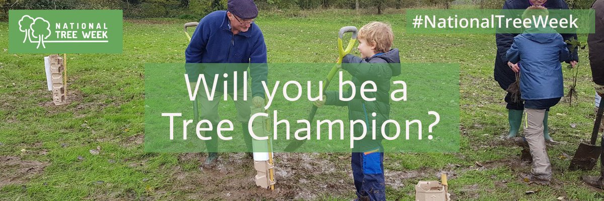 #NationalTreeWeek starts tomorrow! The UK's biggest celebration of trees has never been more important. Together we're laying down roots for a more tree-filled future. #ClimateCrisis #PlantATree #PlantCareProtect