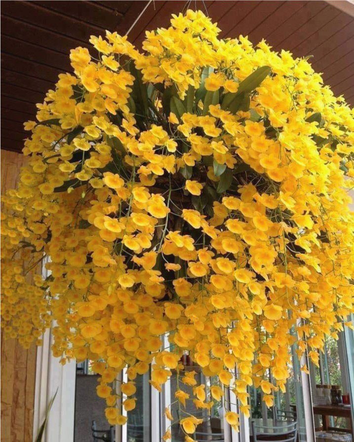 Buen #ViernesdeChavorrucosconMiguel  a todos <a href="/La99fm/">La 99 FM</a> <a href="/YoAmoLa99/">AmoLa99 💙🎶📻 #YoAmoLa99</a> <a href="/FansDeLa991/">Fans De La 99</a> <a href="/YODEBUENAS/">Miguel Barrientos Mx</a> <a href="/clubdefansla99/">Fans 99. ️‏️˚  *· ✫</a> excelente fin de semana a t@d@s 😘