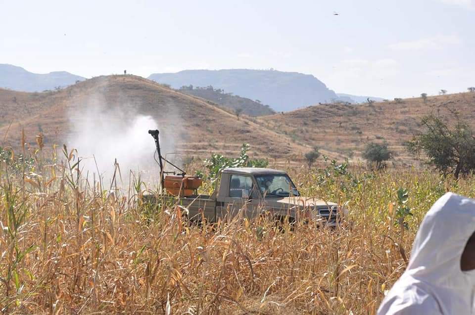 Eritrea Focus tweet media