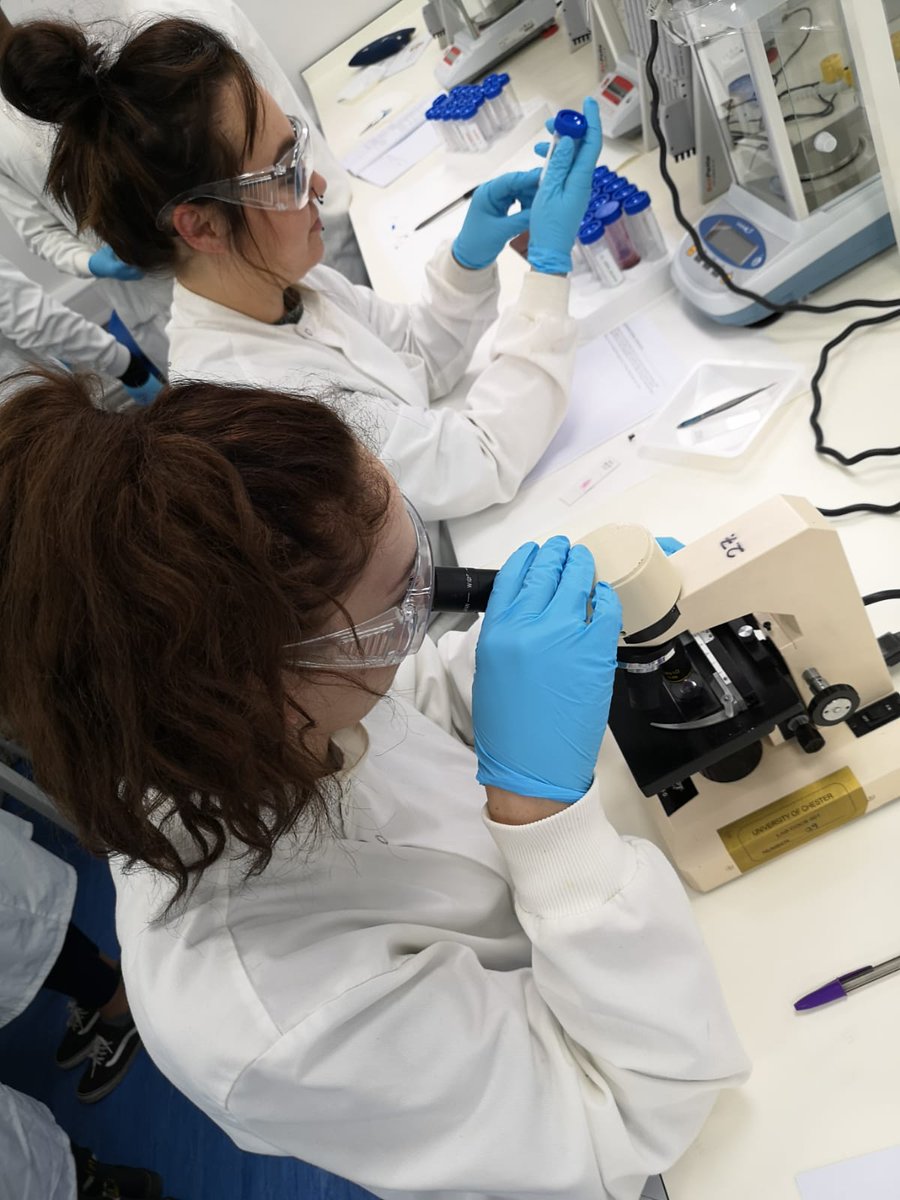 UoCMedSci's tweet photo. Today level 5 students are in the lab staining primary and secondary lymphoid tissues to visualise the areas of the lymphatic system which are involved in the generation of immune cells 

#MD5026 #Immunology #histology  #ChesterMedicalSchool #uochester #MyChesterStory https://t.co/0XXbtw4r6O