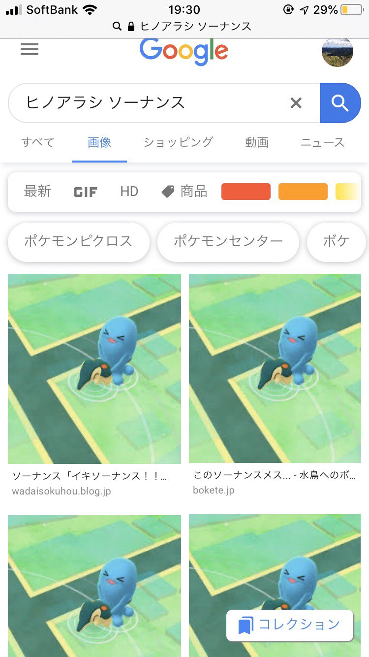 めぃ 久しぶりにポケモンgo開いたらヒノアラシとソーナンスがsexしてた T Co Maljguv1uo Twitter