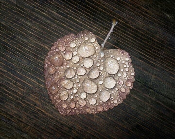 의식이
바뀌지 않으면

좋은날 오겠지 
평생을 기다리다

속았구나하고
결국 눈을감게 됩니다

지금도 늦지 않았습니다

나쁜 것 들이 자꾸 찿아오거든
좋은 것 들로 자꾸 채워주세요