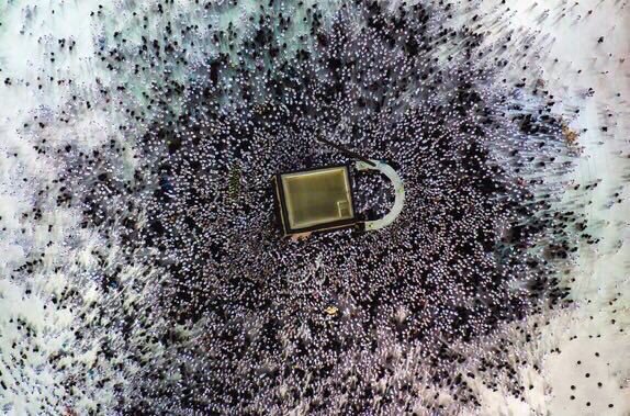 ”قفل أمان العالم.”