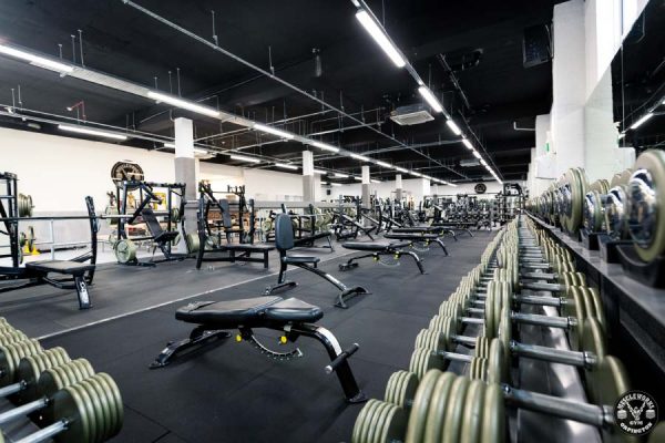 muscleworksorp1's tweet photo. The #muscleworks weight room has a wide range of weights and barbells for our #gym users
@ivankobarbell
https://t.co/SFUKtLjUim https://t.co/ASdWPkAqzC