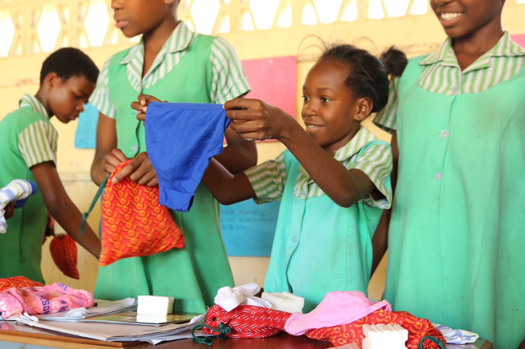 As you know in our #reusablepad kit there are two brand new cotton underwear for each school girl...Anyone with an idea where to get girls cotton #underwear in Zim in bulk? Or outside the country is a better option? 
.
.
.
#RedefineTheCycle