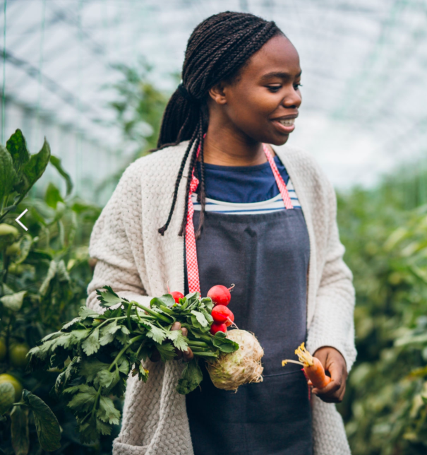agripoolapp's tweet photo. We at Agripool will help you start your own farming business by providing you with a healthy source of income. Learn more https://t.co/lULCjOc3yx
#AgripoolApp #Farming #Agriculture https://t.co/DYKCFnjeHa