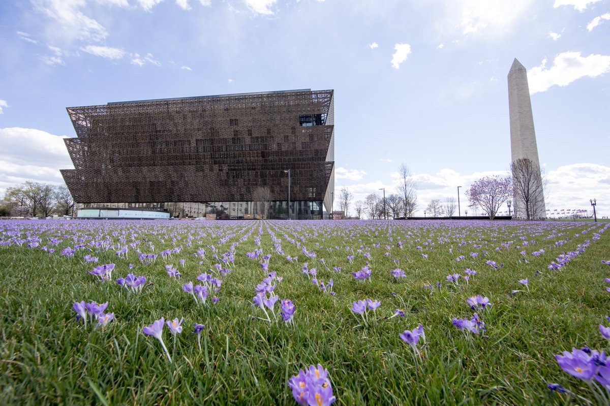  @NMAAHC's LEED Gold building remind us of African American engagement in environmentalism and sustainability movements. The struggle to protect the planet and address climate change is one that is inextricably linked to civil rights, migration, fair housing, and many others.