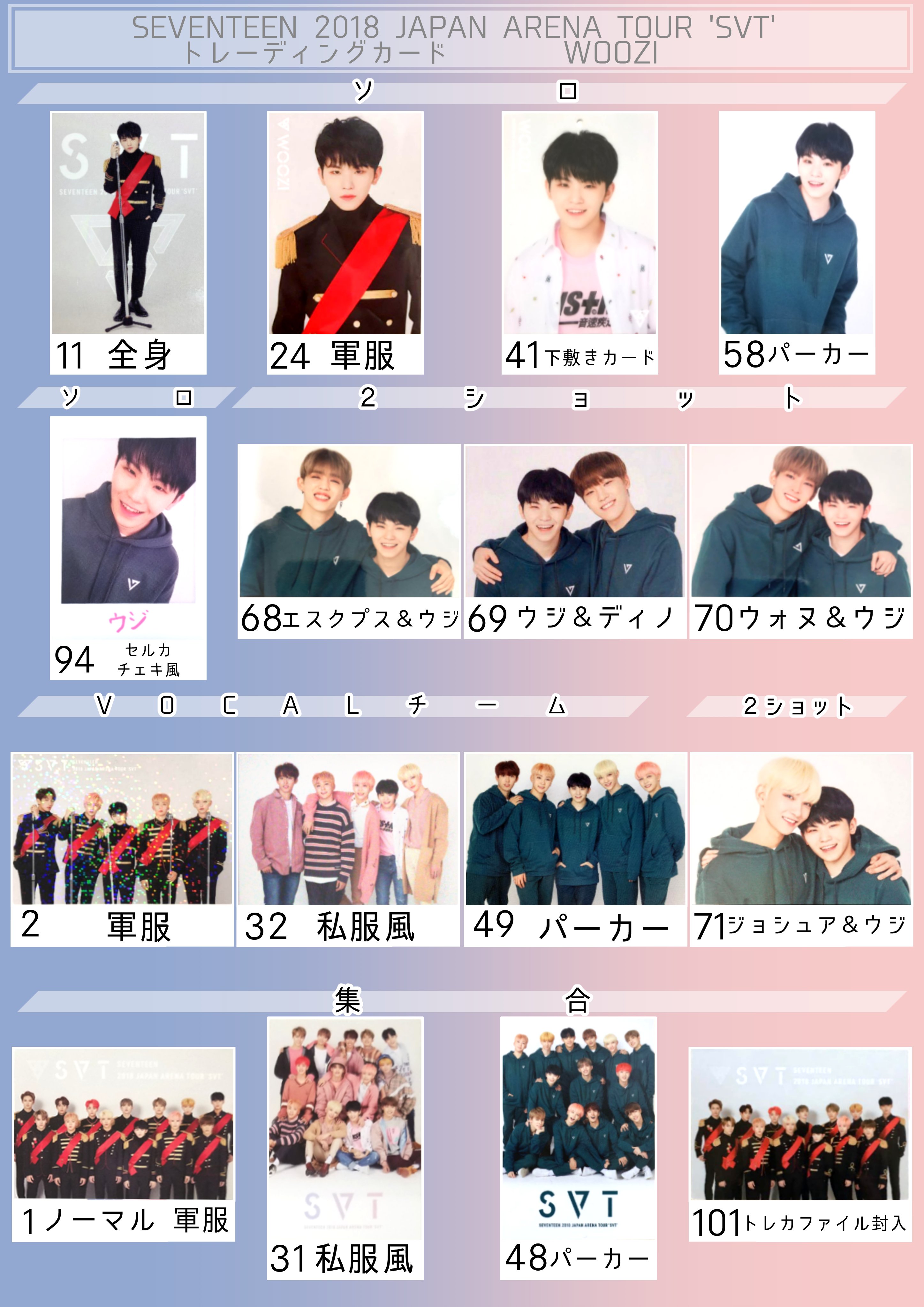 グレイ系全ての SEVENTEEN ドームツアートレーディングカード全種 K
