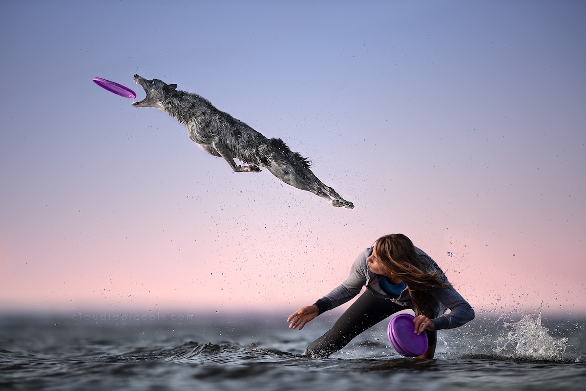 Gravity-defying photos of determined dogs catching frisbees in mid-air. trib.al/gnORO0L