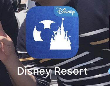 ディズニーランドファストパスの裏ワザ攻略 待ち時間の短縮について ディズニー裏マニア