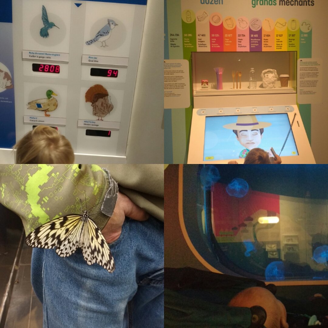 Ames@Play (@ames_at_play) on Twitter photo Some early November #familytime was spent #adventuring at one of our favourite museums <a href="/MuseumofNature/">Museum of Nature</a>. Butterflies,C's weight in birds, learning about single use plastics & D really enjoyed the jelly fish.Not pictured: D's first experience touching the ice in the Arctic exhibit. Some early November #familytime was spent #adventuring at one of our favourite museums <a href="/MuseumofNature/">Museum of Nature</a>. Butterflies,C's weight in birds, learning about single use plastics & D really enjoyed the jelly fish.Not pictured: D's first experience touching the ice in the Arctic exhibit.