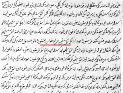 10/which suggest that Malay readers were also able to understand Persian.  @BLMalay As I underlined the following image (in red), the Persian term “haram khvar”حرام خوارmeans "venal or corrupted person" is used as an adjective for Ibn Muljam,