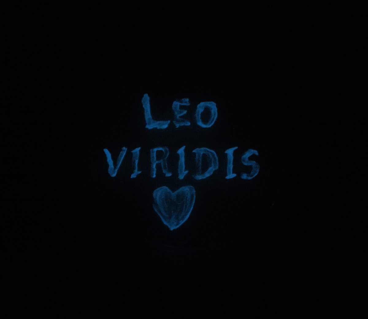 Leo viridis tweet media