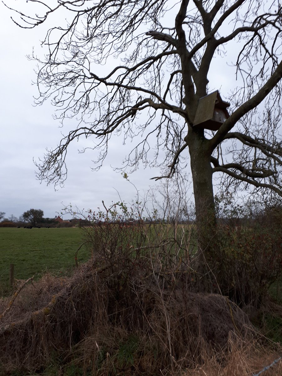 Yorkshire Wildlife Trust - North Yorkshire tweet media