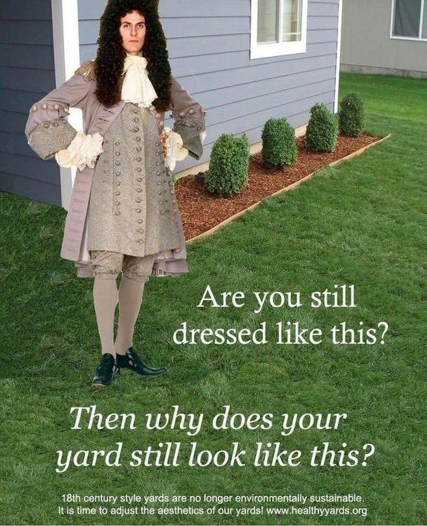 RewildingKate's tweet photo. America’s obsession with lawns is unsustainable. They are mostly non-native (european turf grasses) &amp; require an extraordinary amount of water - around 9billion gallons per day in the US! We need to reconsider our idea of “beauty” in landscaping. Let it go #wild instead #2019EBE https://t.co/nxy85KFesz