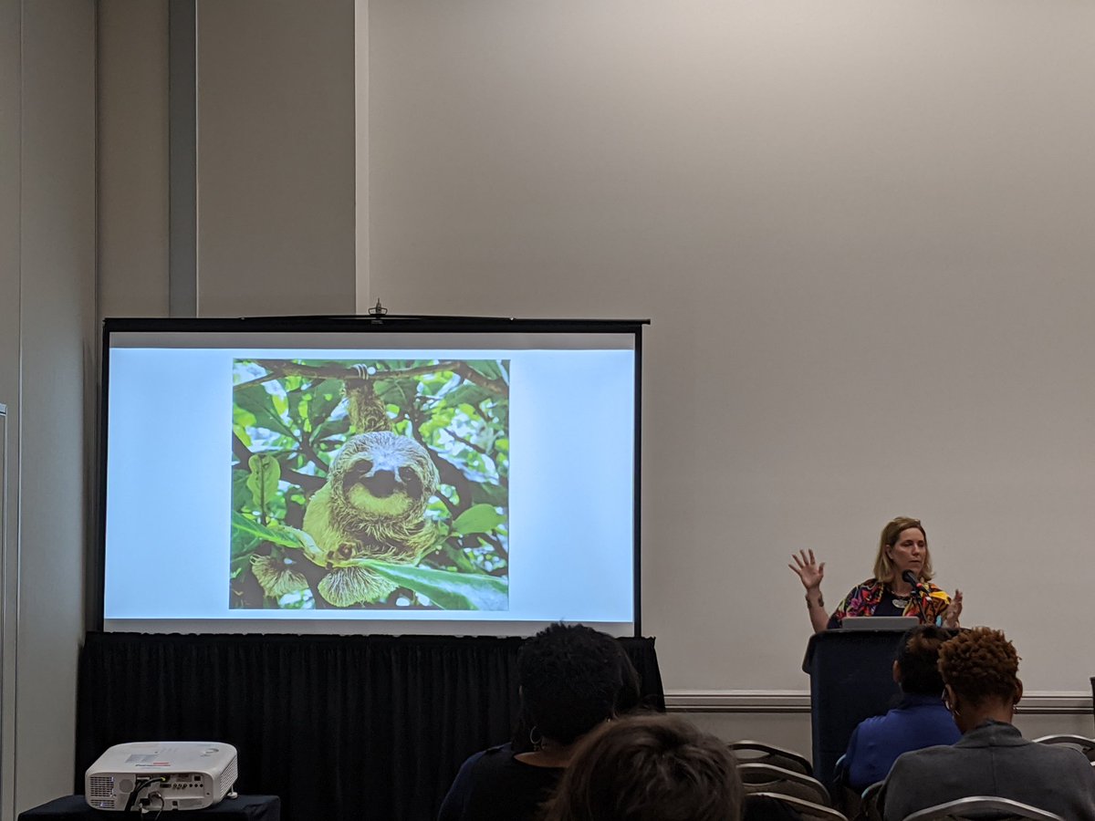 casnhtx's tweet image. CASN is @nrgpark attending #PowerToolsHou - and there are SLOTHS y&apos;all