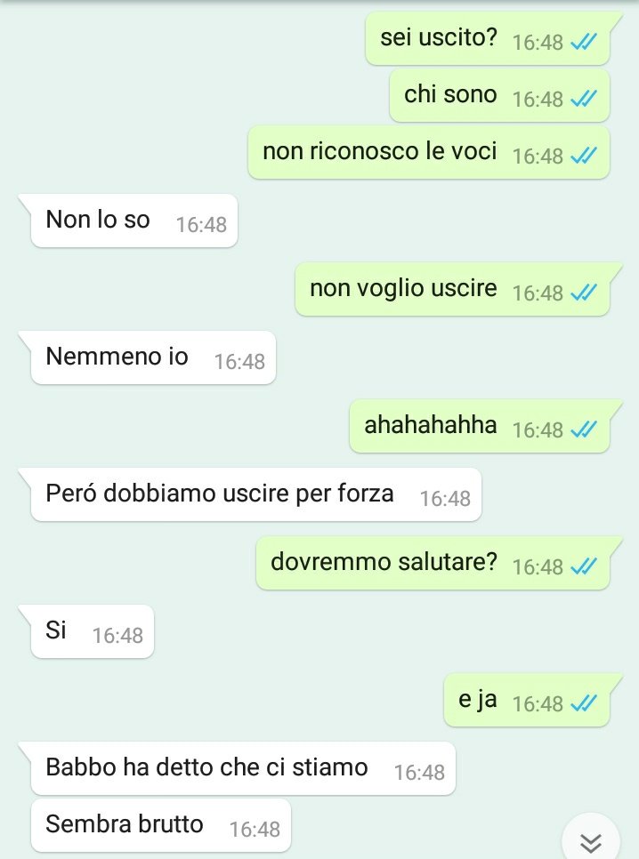 ari tweet media