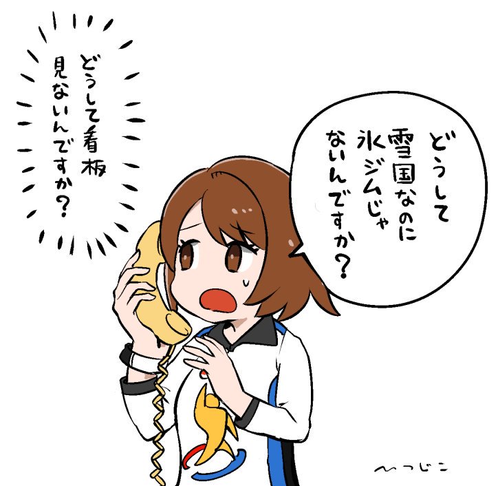 ポケモン日記 
