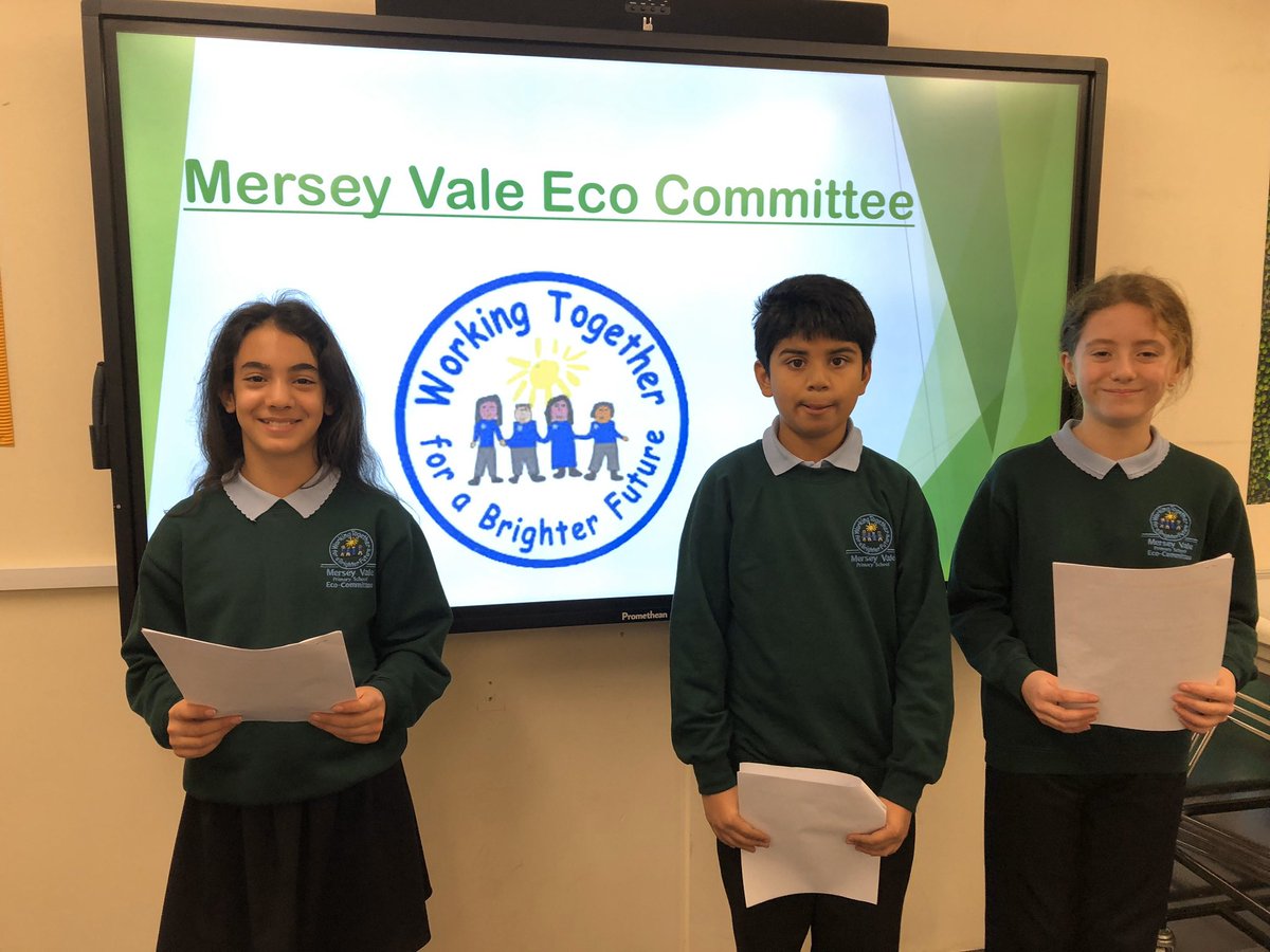 Jayne Mullane tweet media