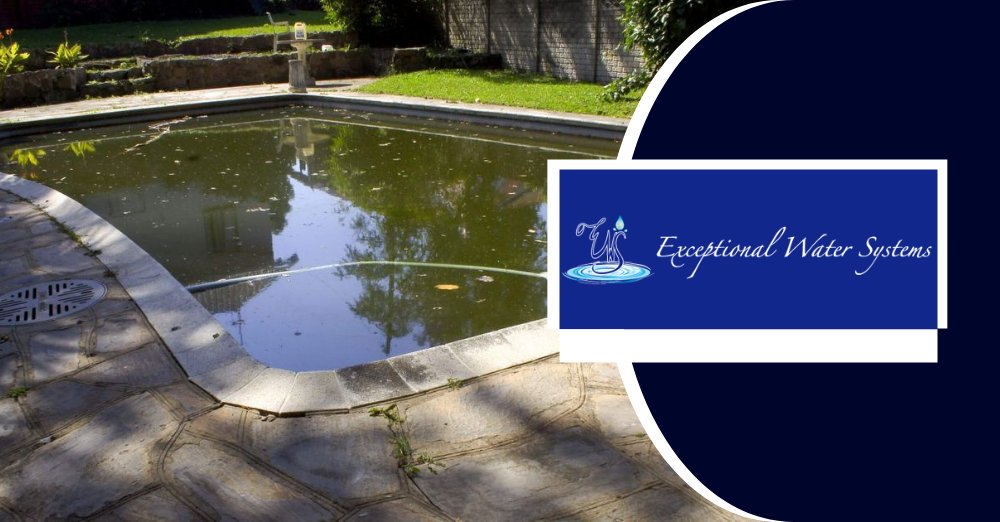 exwsystems's tweet photo. Keeping your #pool and spa as clean as you would like takes a lot of work,and still algae seems to form. It could be your #FiltrationSystem. Let us remedy that. https://t.co/ELJEufj5PR https://t.co/2ztbG1ZiPI