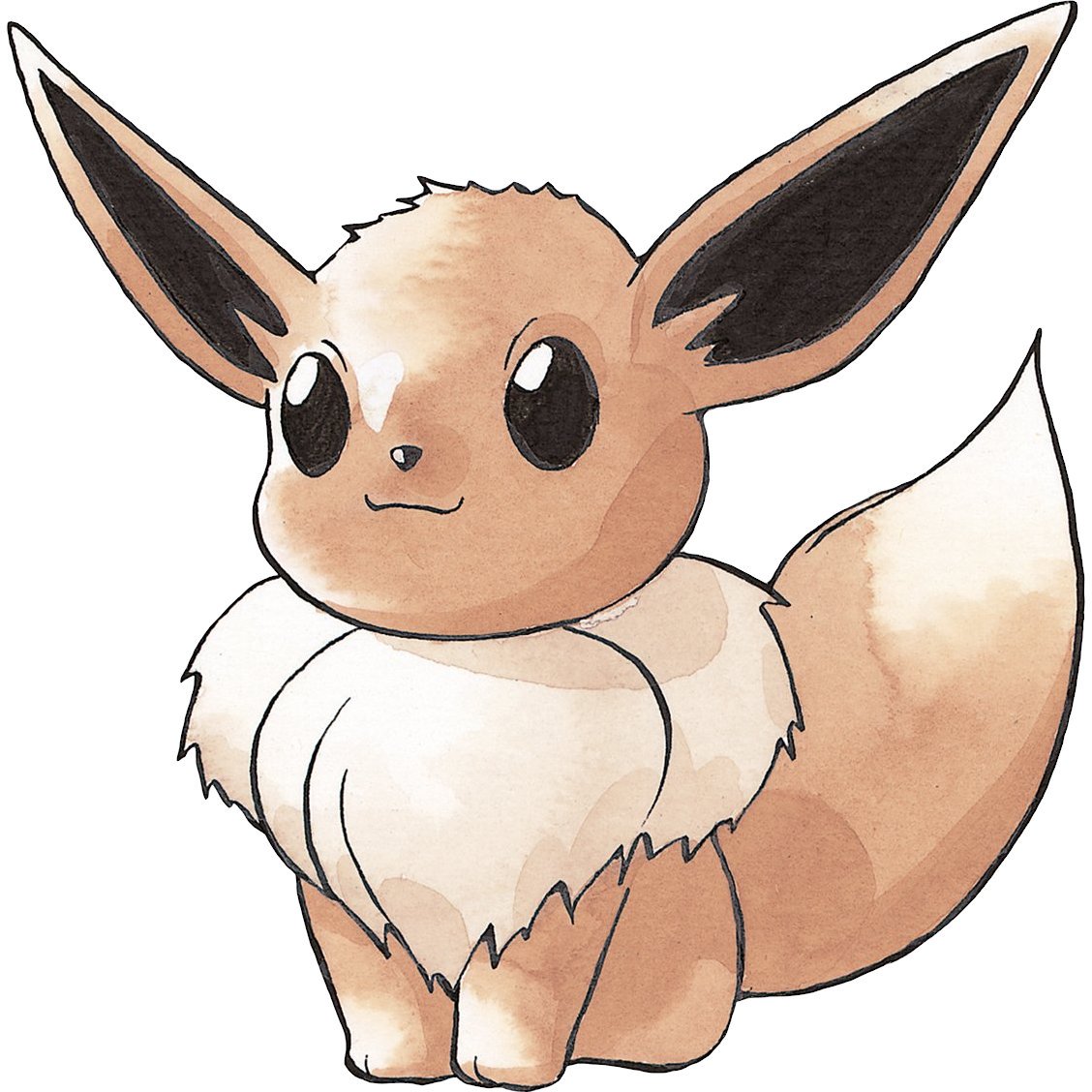 Toritodon Eevee1121 第一世代イーブイの公式イラストも好きです T Co Tiut0xtpex Twitter